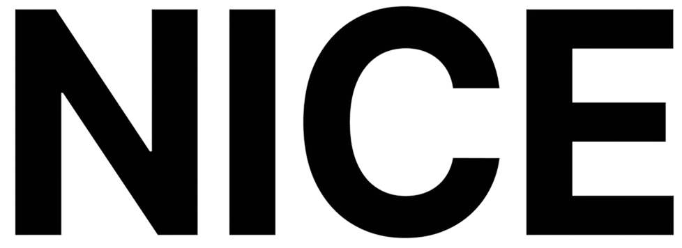 nice-logo